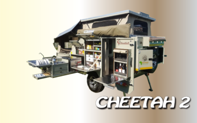 Cheetah 2