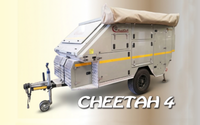 Cheetah 4